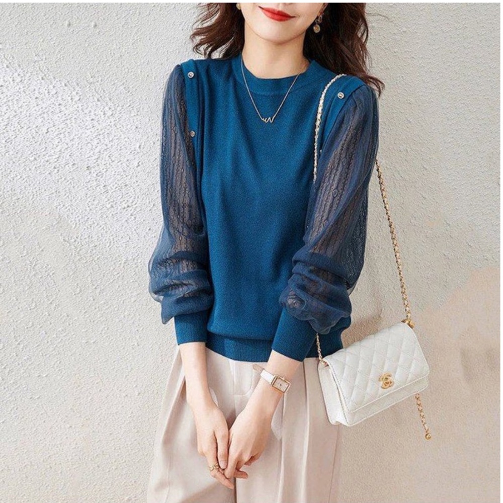 New Korean Style Paneled Lace Long Sleeve Top
